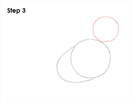 Cardinal Bird Drawing 3 Draw Cardinal Bird 3