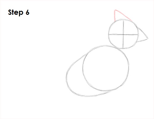 Cardinal Bird Drawing 6 Draw Cardinal Bird 6