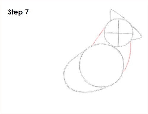 Cardinal Bird Drawing 7 Draw Cardinal Bird 7