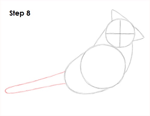 Cardinal Bird Drawing 8 Draw Cardinal Bird 8