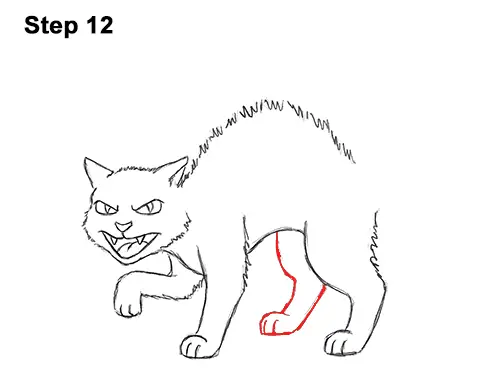 Draw a Angry Cartoon Black Cat 12 How to Draw Angry Mean Halloween Cartoon Black Cat arched back 12