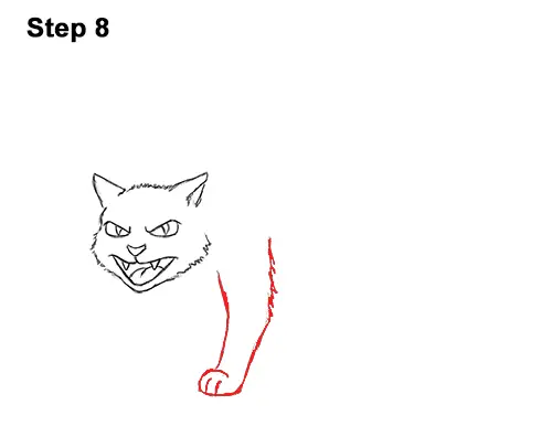 Draw a Angry Cartoon Black Cat 8 How to Draw Angry Mean Halloween Cartoon Black Cat arched back 8