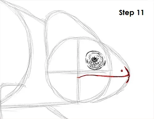 Chameleon Drawing 11 Draw Chameleon 11