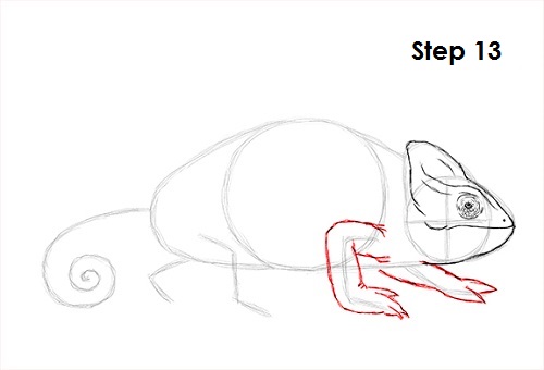 Chameleon Drawing 13 Draw Chameleon 13