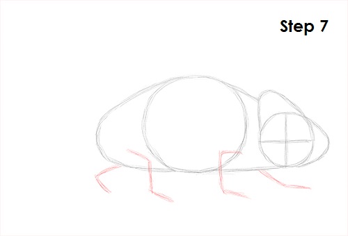 Chameleon Drawing 7 Draw Chameleon 7