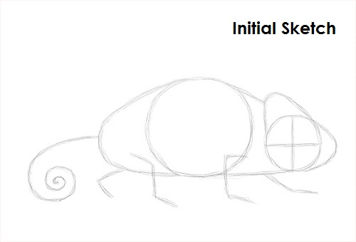 Chameleon Drawing Sketch Draw Chameleon Sketch
