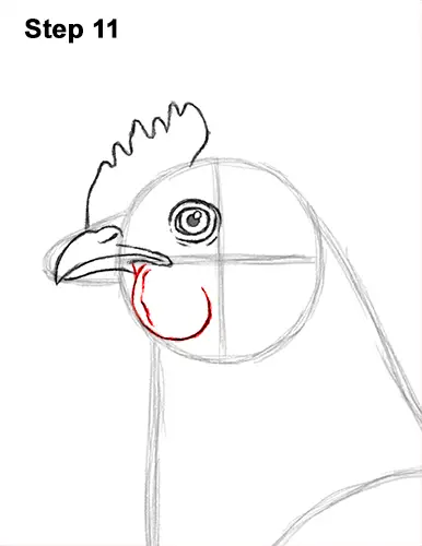 how to draw a chicken hen bird 11 step