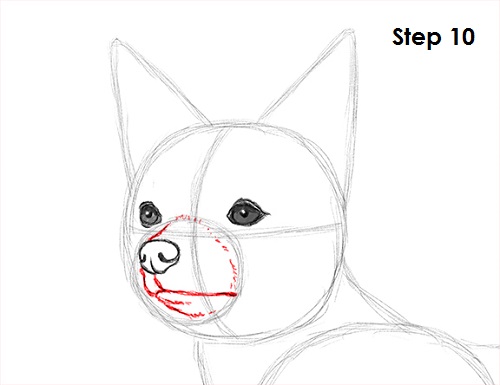 Chihuahua Dog Drawing 10 Draw Chihuahua 10