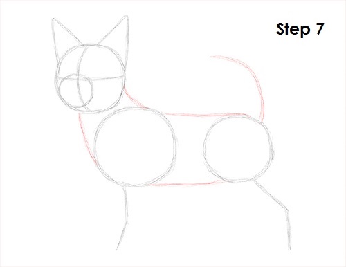 Chihuahua Dog Drawing 7 Draw Chihuahua 7