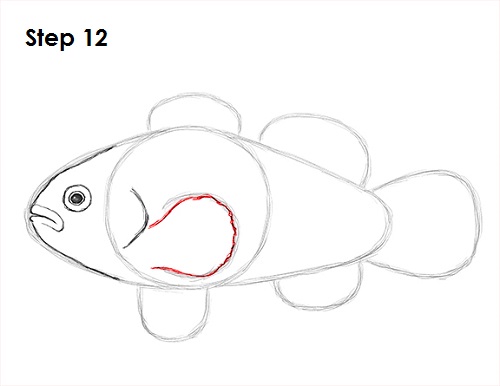 Clownfish Drawing 12 Draw Clownfish 12