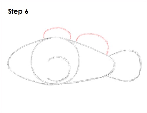Clownfish Drawing 6 Draw Clownfish 6