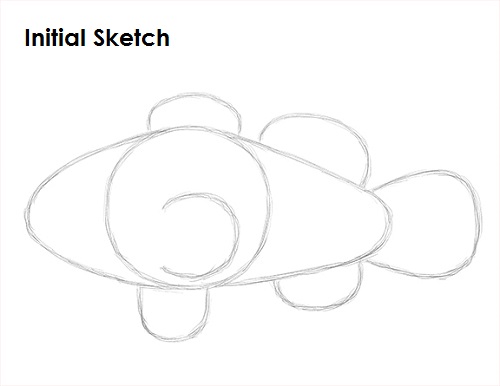 Clownfish Drawing Sketch Draw Clownfish Sketch