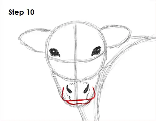 Cow Drawing 10 Draw Cow 10