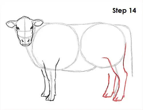 Cow Drawing 14 Draw Cow 14