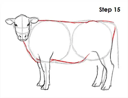 Cow Drawing 15 Draw Cow 15