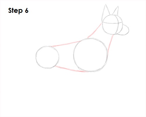 Doberman Pinscher Dog 6 Draw Doberman Pinscher 6