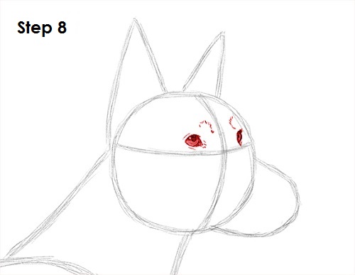 Doberman Pinscher Dog 8 Draw Doberman Pinscher 8