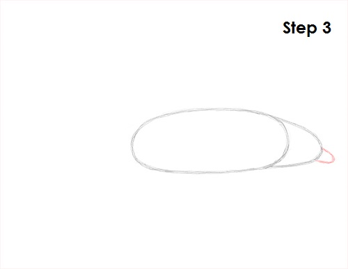 Dolphin Drawing 3 Draw Dolphin 3