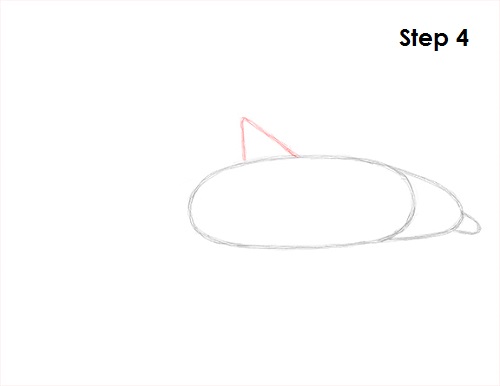 Dolphin Drawing 4 Draw Dolphin 4