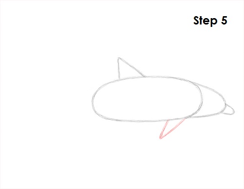 Dolphin Drawing 5 Draw Dolphin 5
