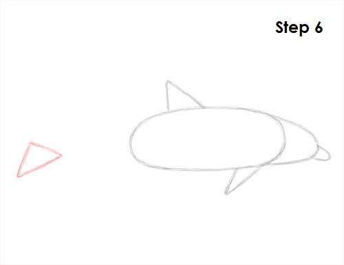 Dolphin Drawing 6 Draw Dolphin 6