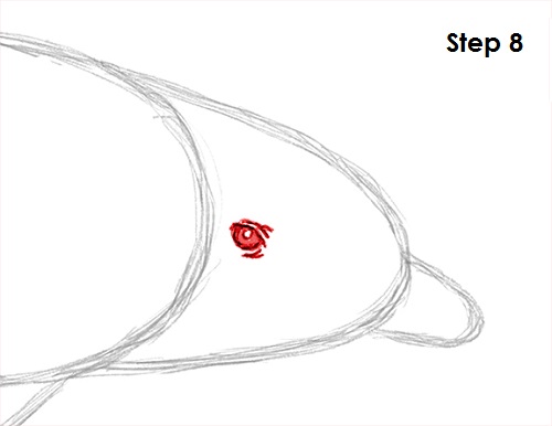 Dolphin Drawing 8 Draw Dolphin 8