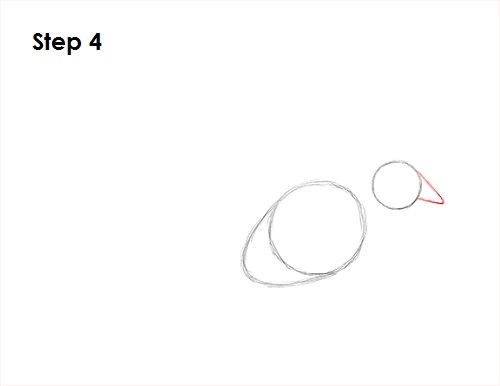 Dove Bird Drawing 4 Draw Dove 4