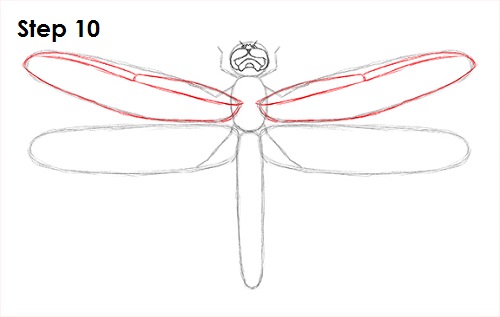 Dragonfly Drawing 10 Draw Dragonfly 10