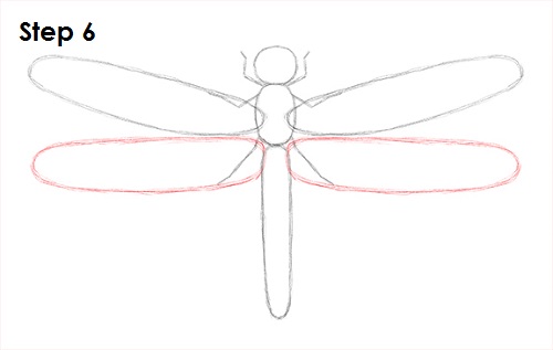 Dragonfly Drawing 6 Draw Dragonfly 6