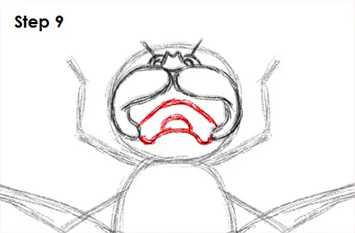 Dragonfly Drawing 9 Draw Dragonfly 9
