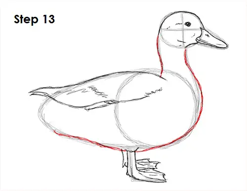 Duck Drawing 13 Draw Duck 13