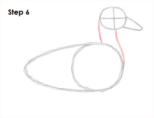 Duck Drawing 6 Draw Duck 6