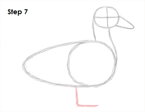 Duck Drawing 7 Draw Duck 7