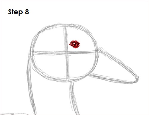 Duck Drawing 8 Draw Duck 8