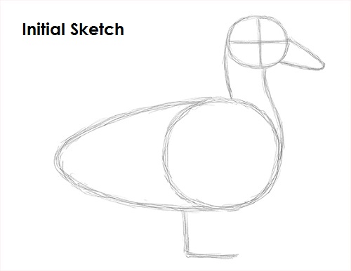 Duck Drawing Sketch Draw Duck Sketch