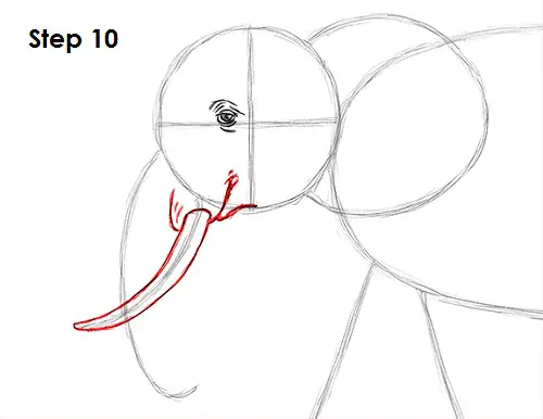Elephant Drawing 10 Draw Elephant 10