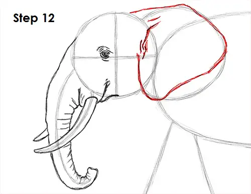 Elephant Drawing 12 Draw Elephant 12