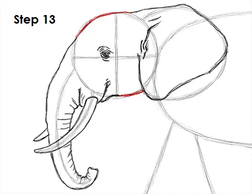 Elephant Drawing 13 Draw Elephant 13