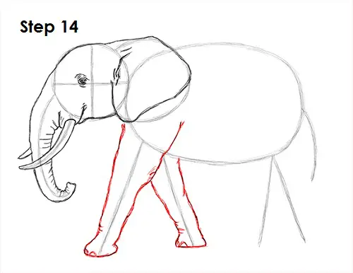 Elephant Drawing 14 Draw Elephant 14