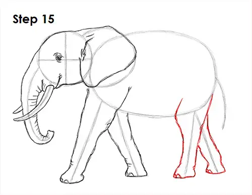 Elephant Drawing 15 Draw Elephant 15