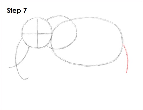 Elephant Drawing 7 Draw Elephant 7