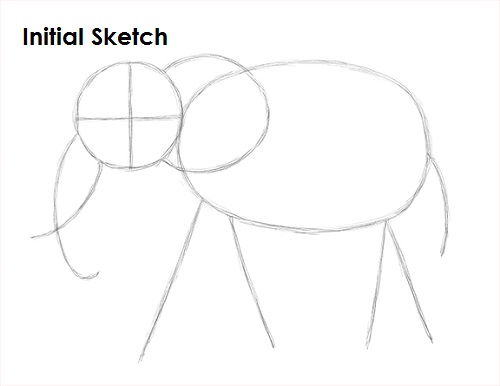 Elephant Drawing Sketch Draw Elephant Sketch