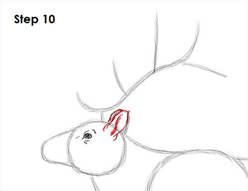 Elk Drawing 10 Draw Elk 10