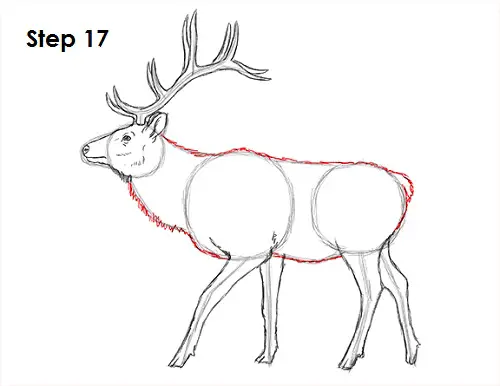 How to Draw an Elk