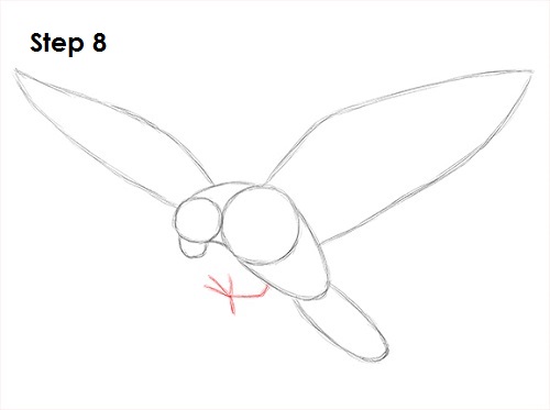 Falcon Bird 8 Draw a Falcon 8