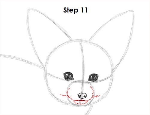 Fennec Fox Drawing 11 Draw Fennec Fox 11