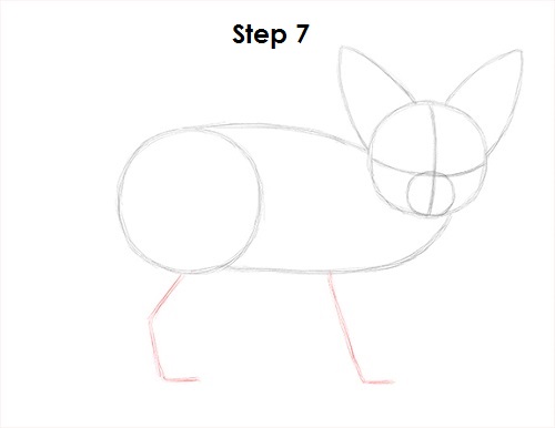 Fennec Fox Drawing 7 Draw Fennec Fox 7