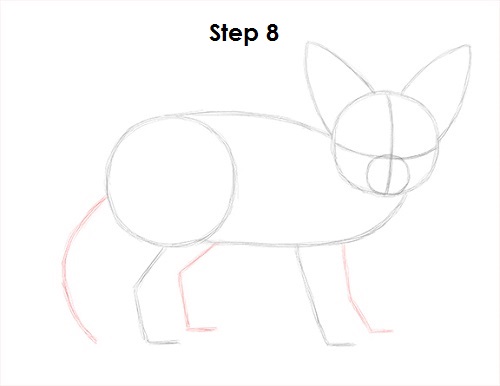 Fennec Fox Drawing 8 Draw Fennec Fox 8
