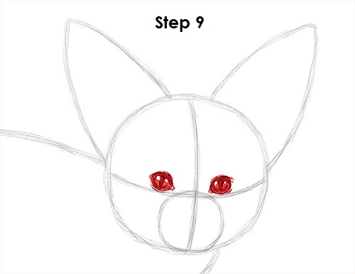 Fennec Fox Drawing 9 Draw Fennec Fox 9