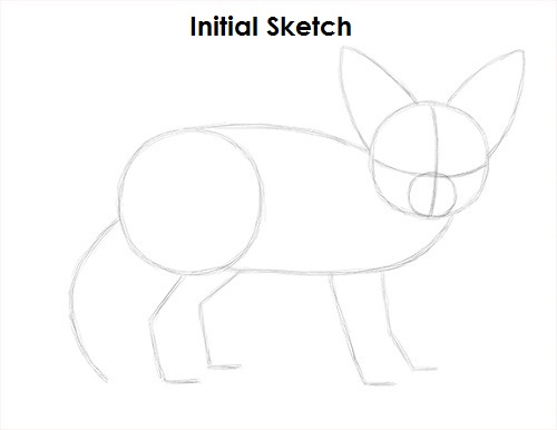 Fennec Fox Drawing Sketch Draw Fennec Fox Sketch